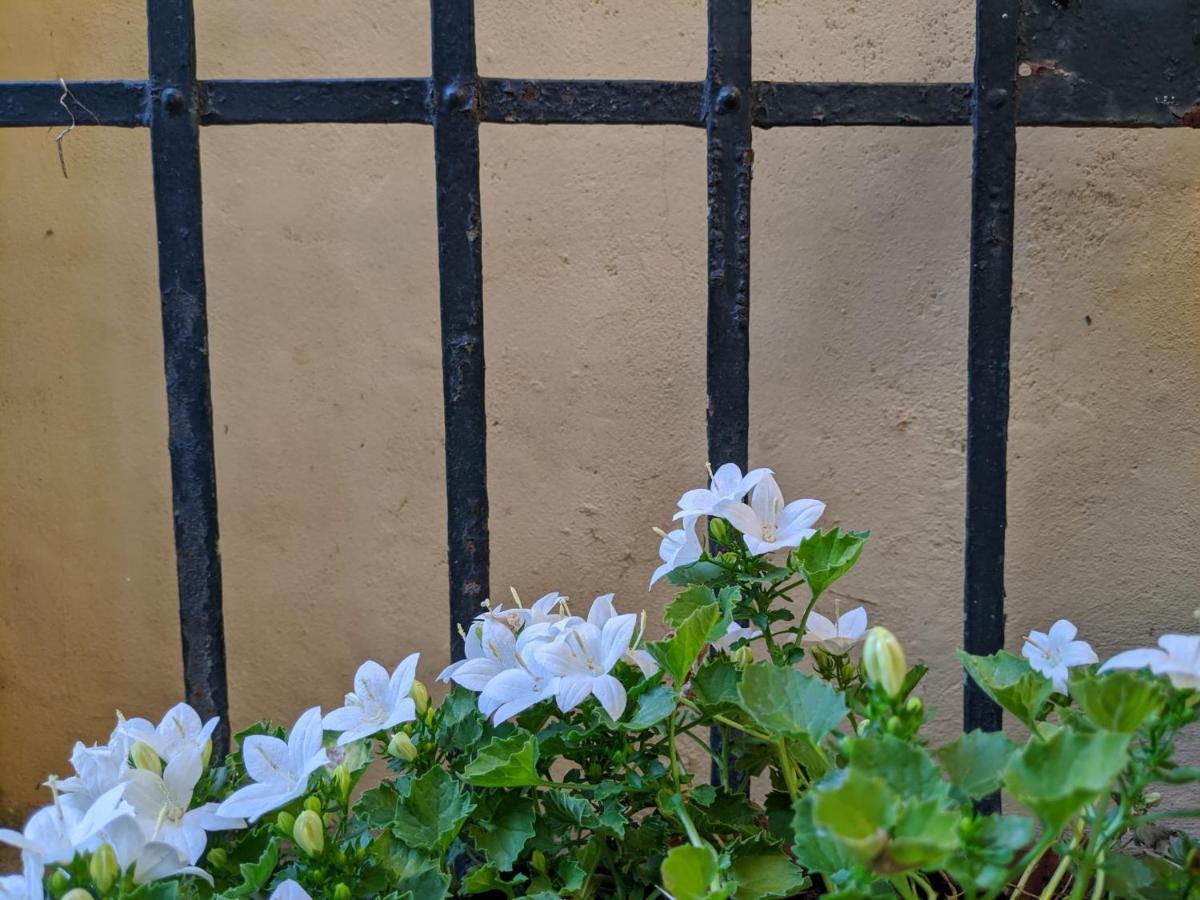 Casa Marconi Bed & Breakfast *